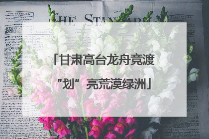 甘肃高台龙舟竞渡“划”亮荒漠绿洲